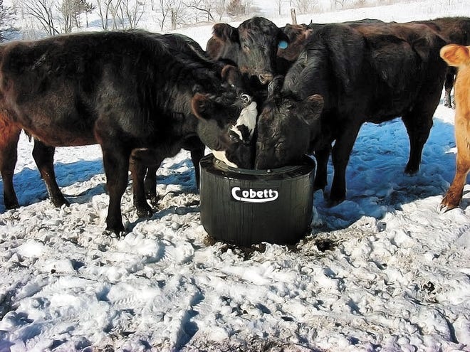 How To Keep Livestock Water Supplies From Freezing - Martin's Feed Mill