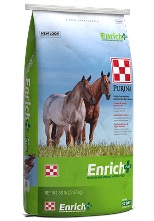 2023_AN_Horse_Enrich-Plus_rs