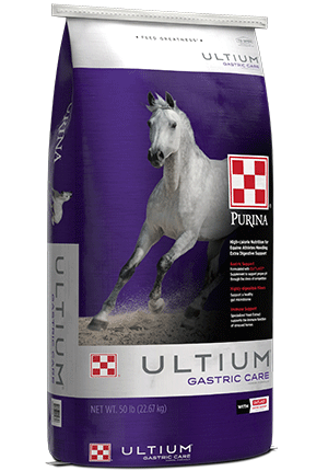 2023_AN_Horse_Purina_Ultium_GastricCare_rs