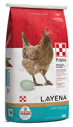 Purina_Layena-Crumbles-50lb-Bag-LR